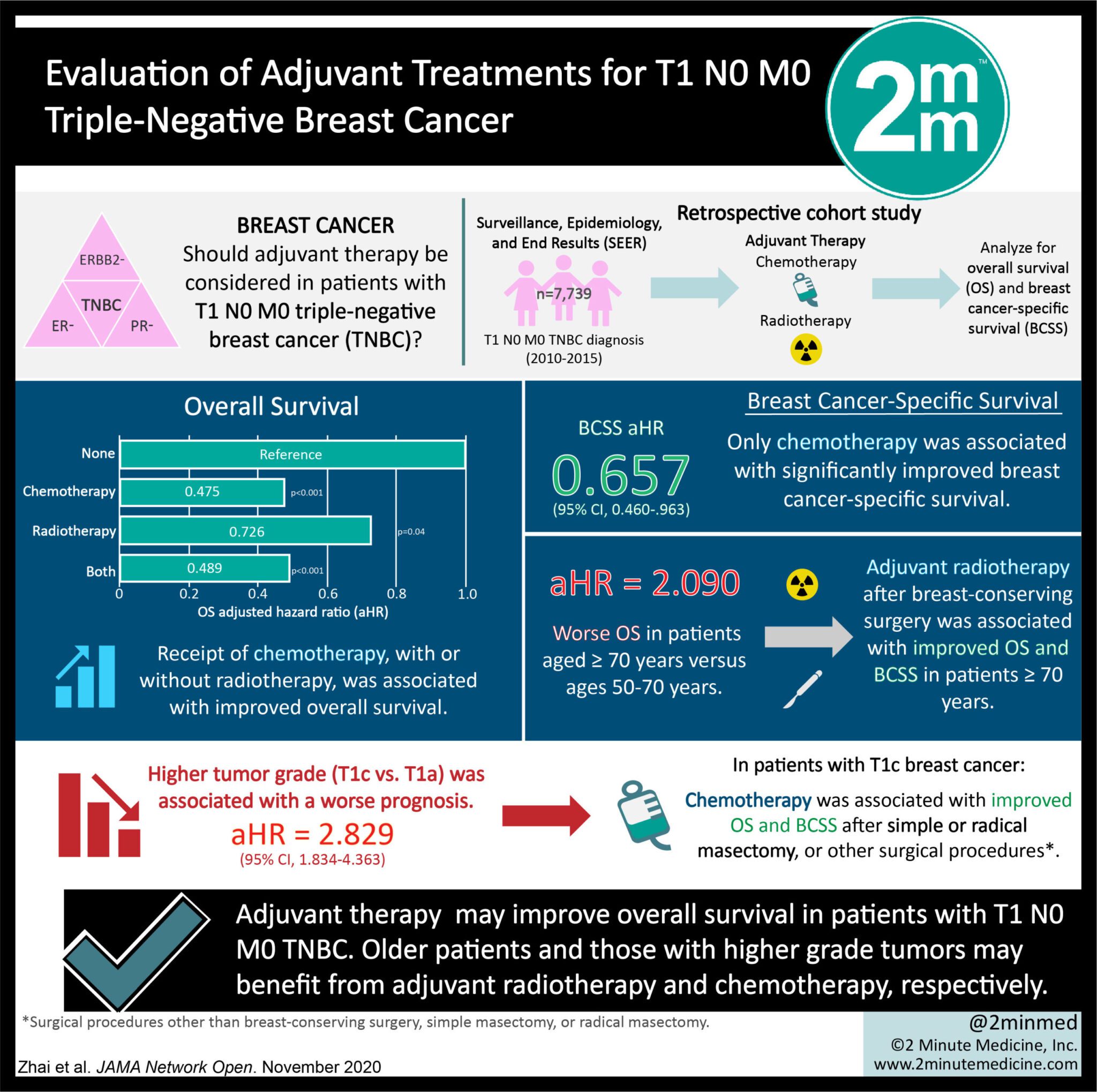 Visualabstract Evaluation Of Adjuvant Treatments For T1 N0 M0 Triple Negative Breast Cancer 2 Minute Medicine